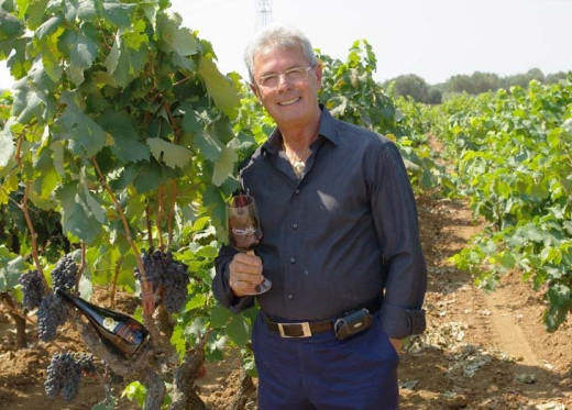 Cantina Due Palme, producteur de vins des Pouilles